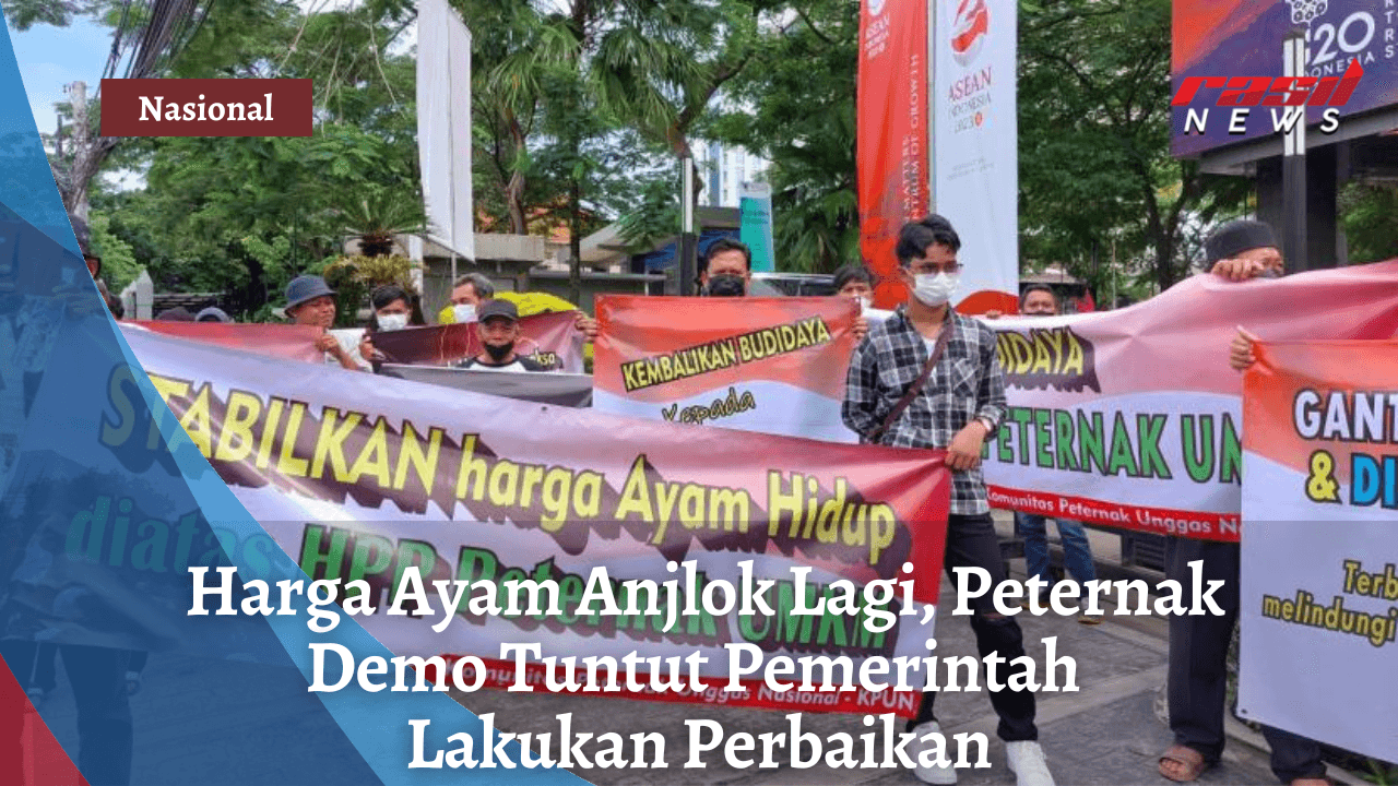 Harga Ayam Anjlok Lagi, Peternak Demo Tuntut Pemerintah Lakukan Perbaikan