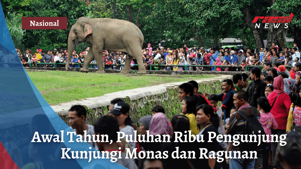 Awal Tahun, Puluhan Ribu Pengunjung Kunjungi Monas dan Ragunan