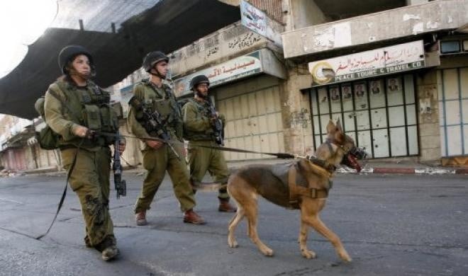 Tentara Israel Gunakan Anjing untuk Paksa Perempuan Palestina Telanjang