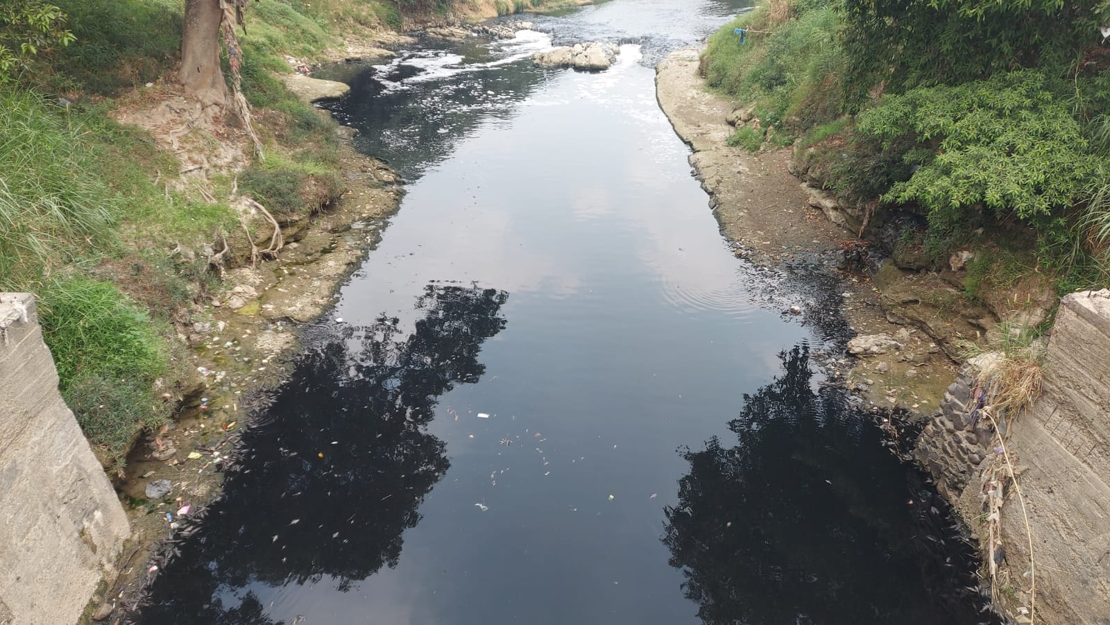 Aktivis Tantang Bupati Bogor Susuri Sungai Cileungsi yang Tercemar