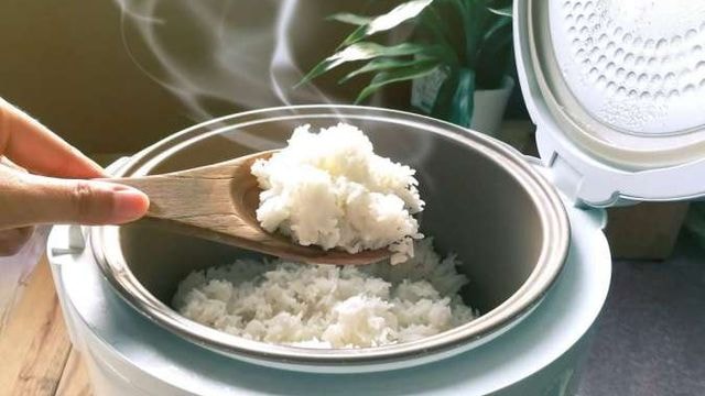 Kritik Program Rice Cooker Gratis, Politikus PKS: Rakyat Lebih Butuh Harga Pangan Murah