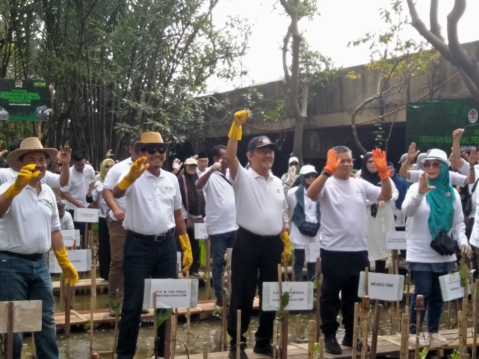 ICMI Awali Revolusi Hijau denganTanam 1 Miliar Mangrove di Pesisir Jakarta