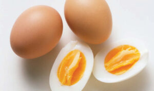 Ilustrasi telur ayam sumber protein hewani