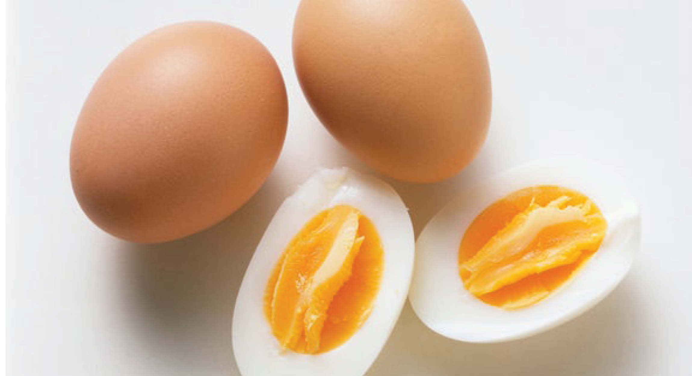 Ilustrasi telur ayam sumber protein hewani